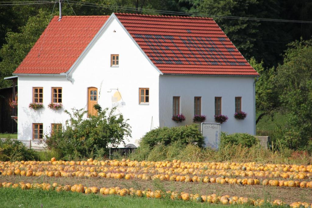 شقة Buchgrabenhof Windisch Minihof المظهر الخارجي الصورة